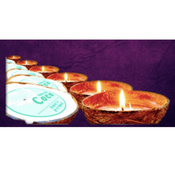 Candles in Coconut Shell with Natural Aromas of Apple - Cinnamon